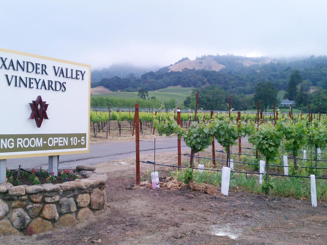 Alexander Valley Vineyards景点图片