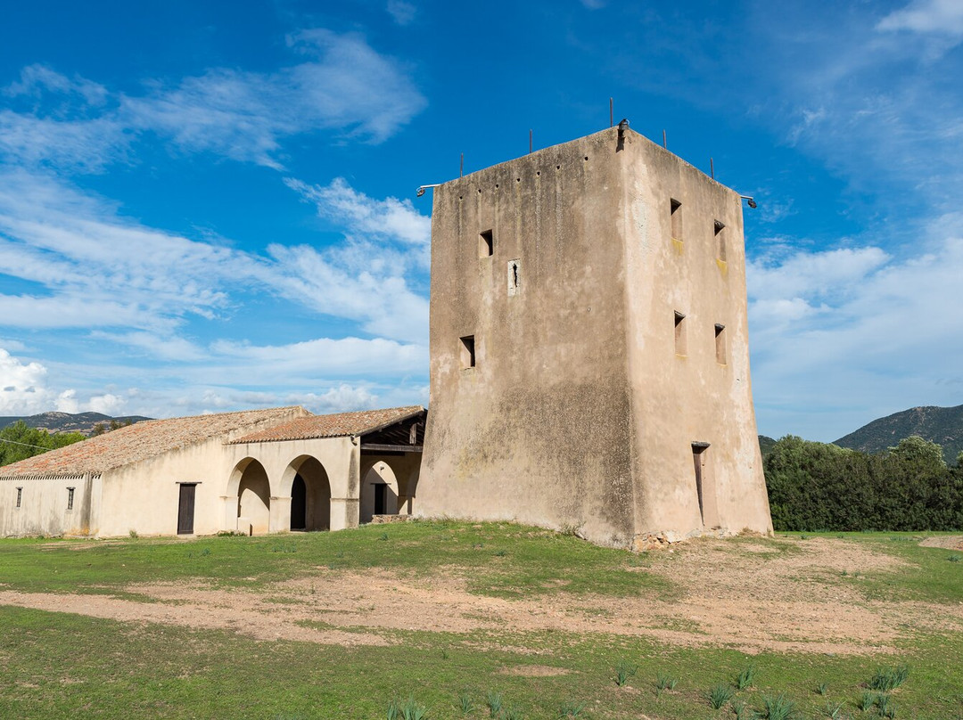 Chiesa di Sant'Isidoro景点图片