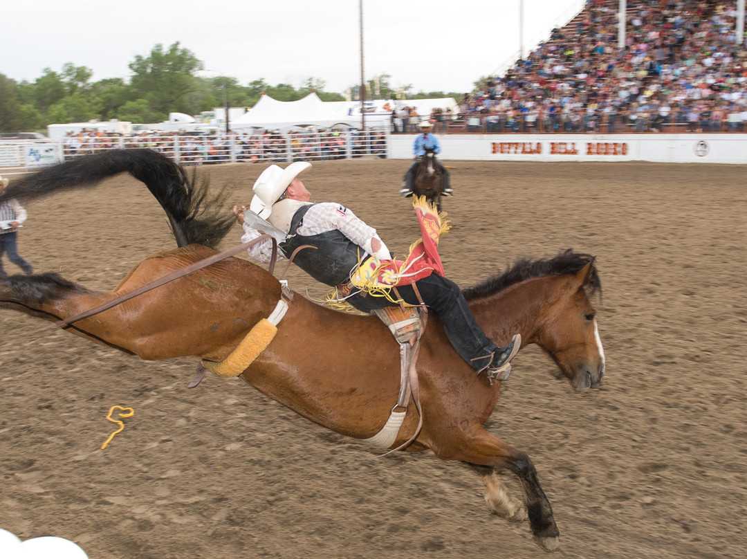 Holiday Inn Express & Suites North Platte By IHG主图
