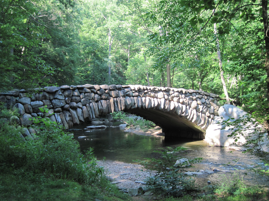 岩溪公园-华盛顿特区必去景点