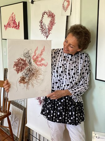 Corinna Kaufman Seaweed Art Gallery景点图片