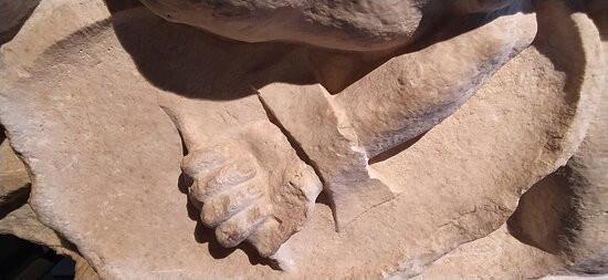 Museo Civico di Rieti - Sezione Archeologica-列蒂必去景点