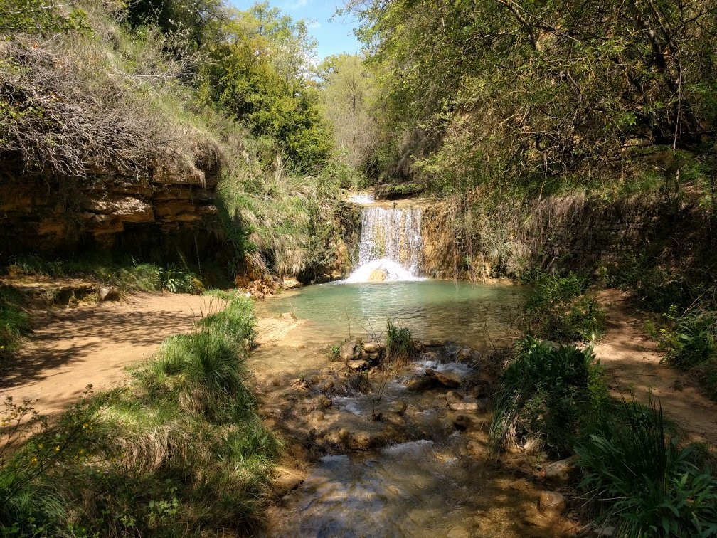 Parque de Aventura ARTAMENDIA Abentura Parkea
