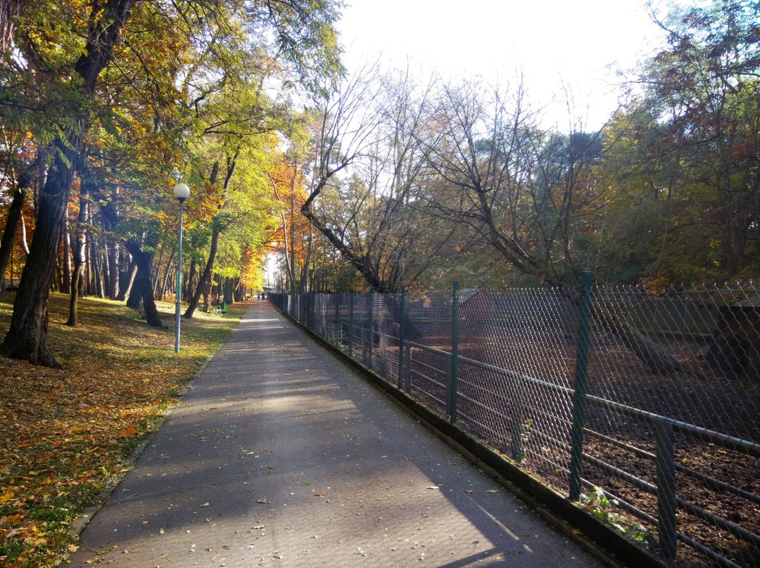 Fryderyk Chopin City Park景点图片