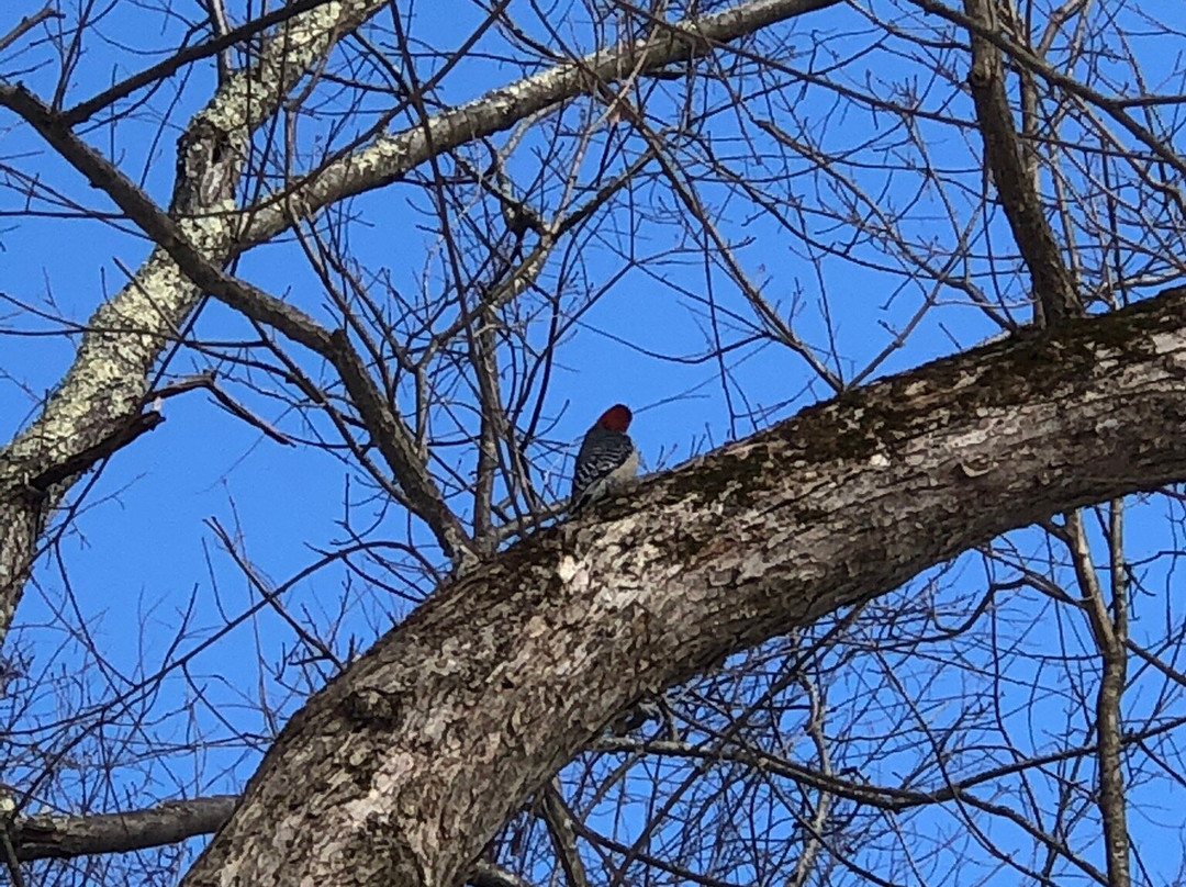 Waynesburg Unity Trail