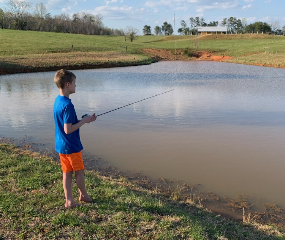 Beechnut Campground