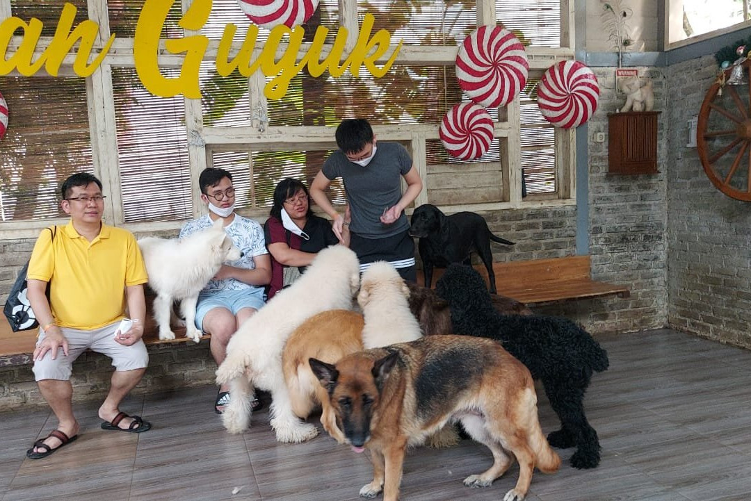 Rumah Guguk-万隆必去景点