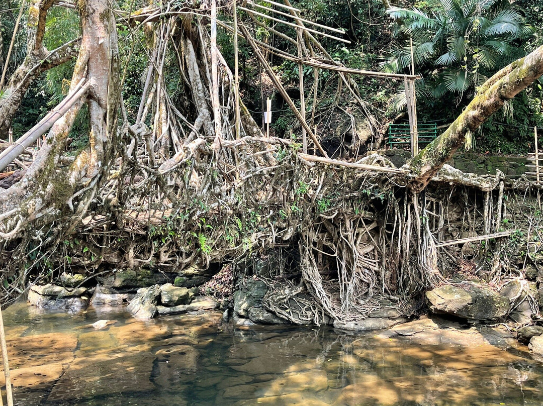 Pumpkin Streamside Guest House