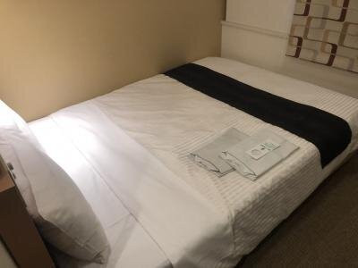 ART  新泻站前酒店主图