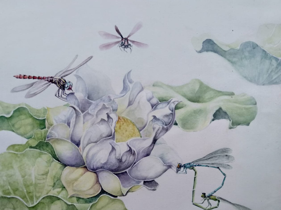 Banyu Bening Art House-Borobudur必去景点