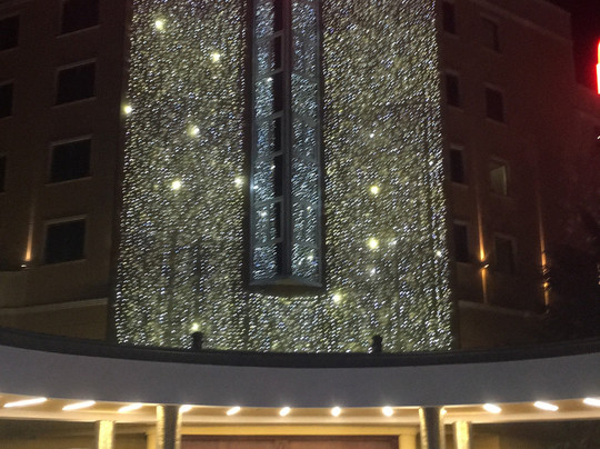 Casino Flamingo Hotel主图