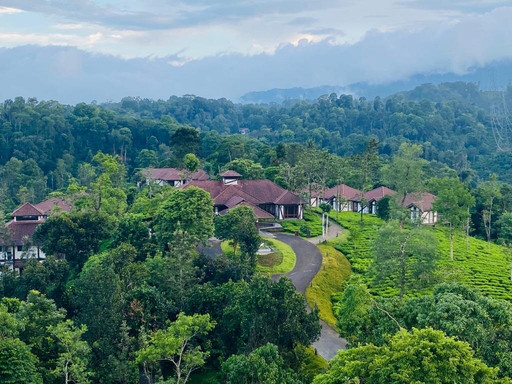 Jeevess Wellness Resort