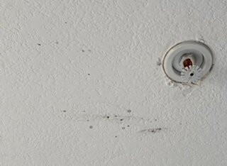 Best Western Escondido Hotel主图