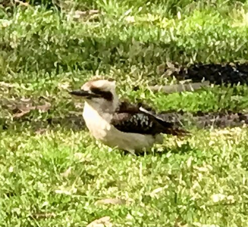 Gir-um-bit National Park景点图片
