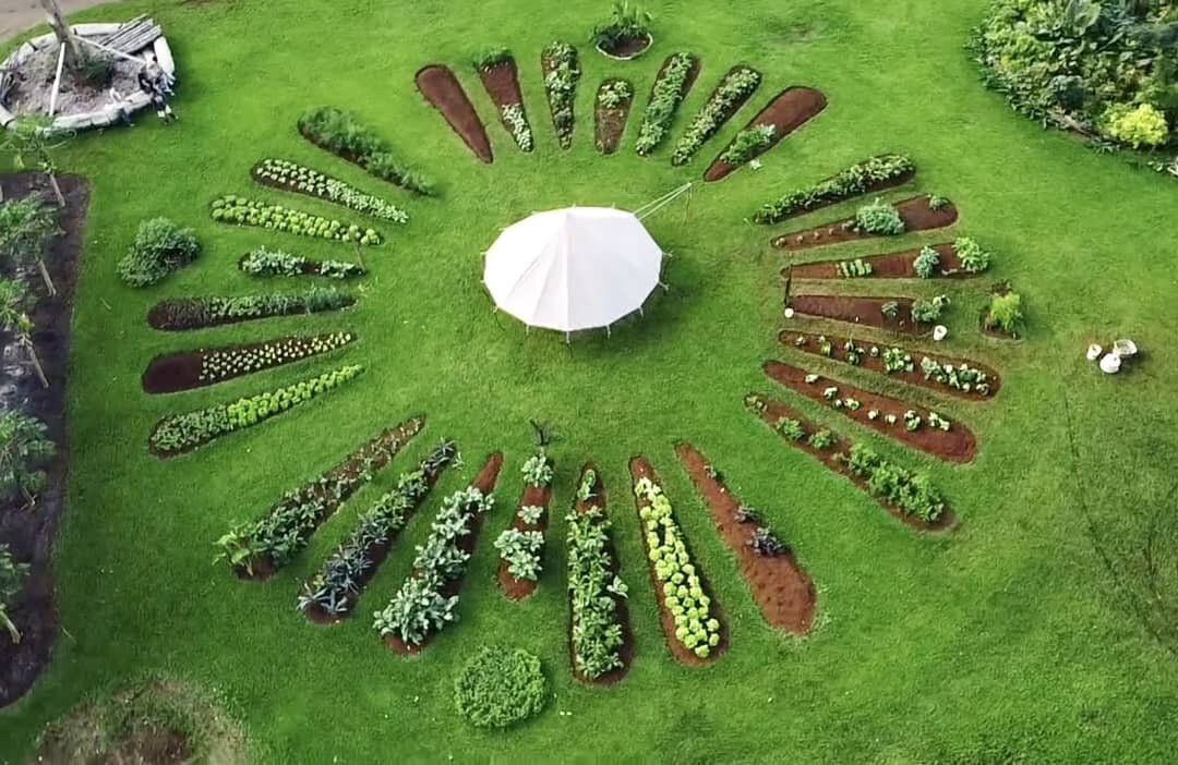 Eat The Rainbow Vegan Cooking Class-阿那荷拉必去景点