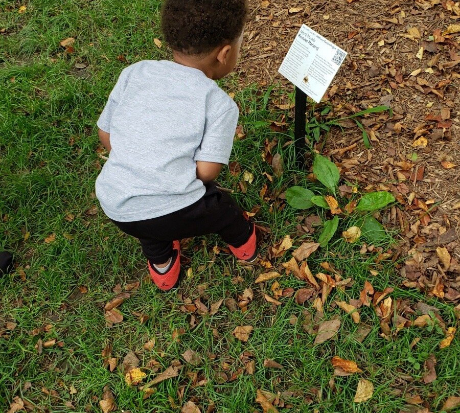 皇后区植物园-法拉盛必去景点