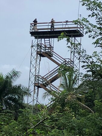 Tranquilo Bay Eco Adventure Lodge主图