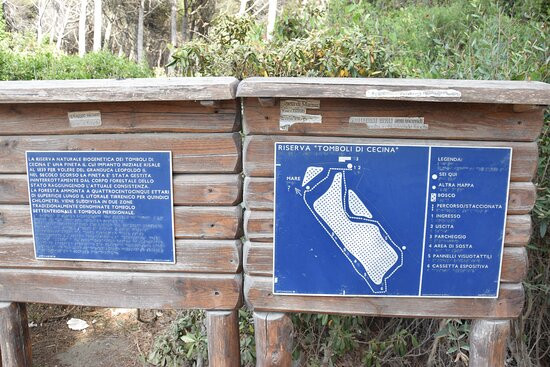 Riserva Naturale Tombolo di Cecina景点图片