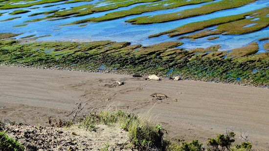 Punta Norte-Province of Chubut必去景点