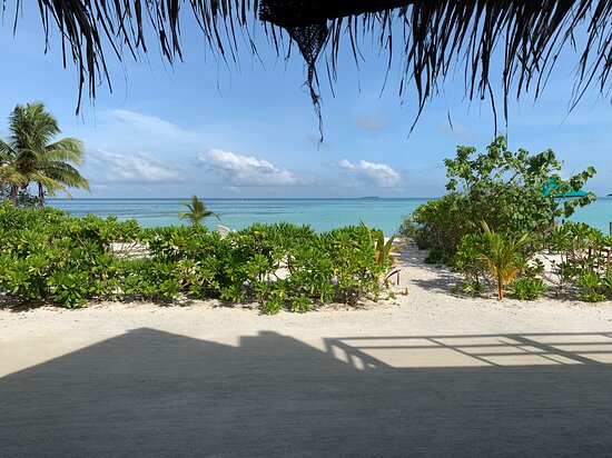 Club Kaafu Dhiffushi-酒店景观