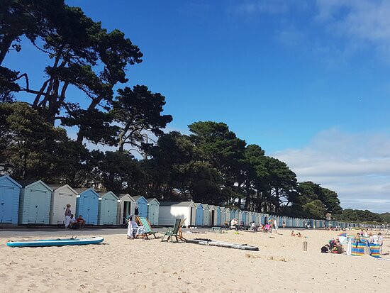 Avon Beach Bed and Breakfast主图