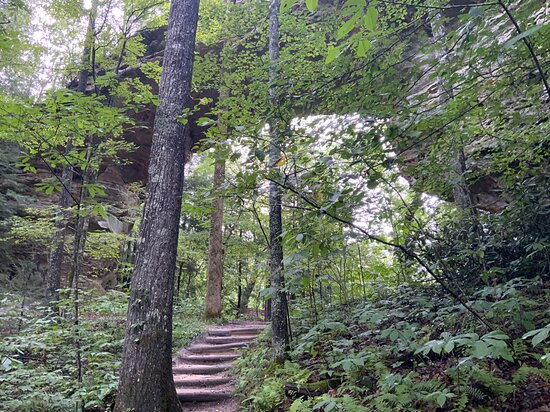Big South Fork National River & Recreation Area景点图片