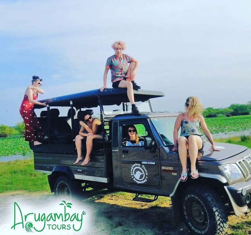 Arugam Bay Tours-阿鲁甘湾必去景点