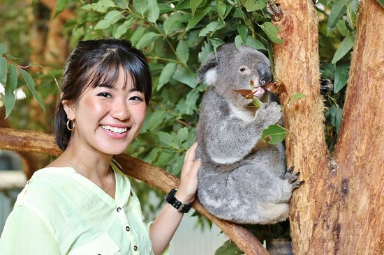Billabong Zoo Koala & Wildlife Park-麦克夸利港必去景点