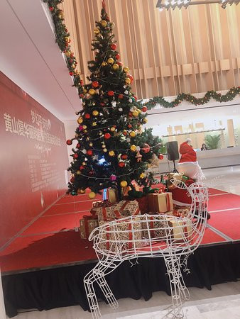 黄山复华丽朗度假村主图