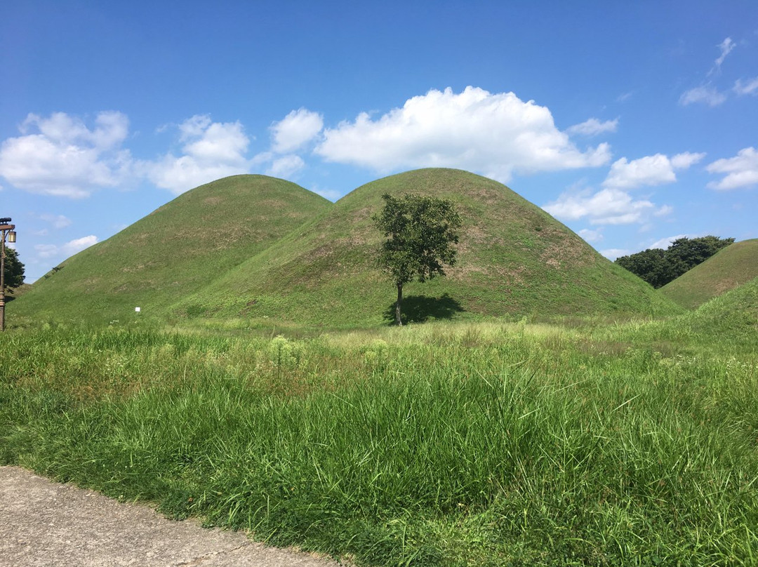 Geumgwanchong Tomb景点图片