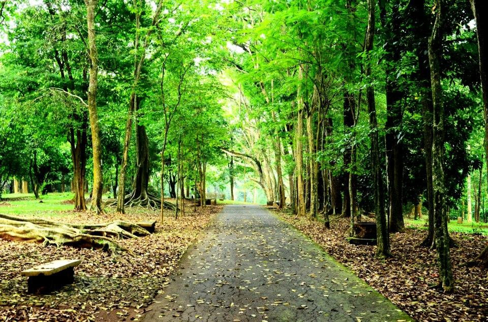 Kebun Raya Purwodadi