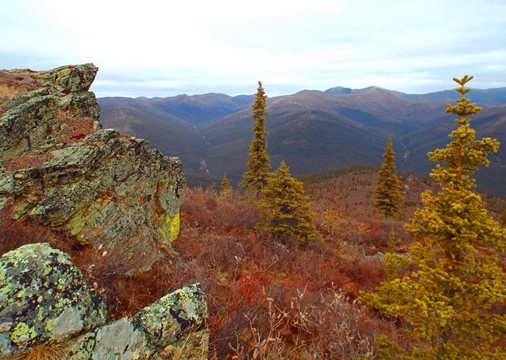 Chicken旅游攻略图片