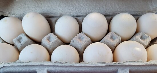 Willow Valley Farm-Glen Arm必去景点