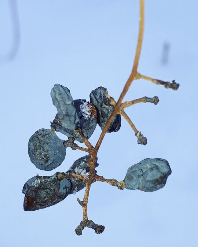 La Barriere Park-La Salle必去景点