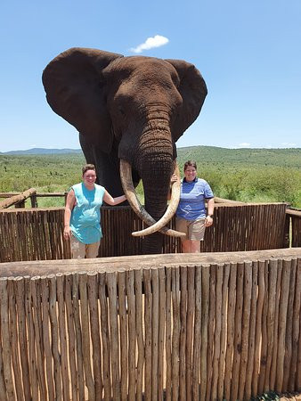 Bayete Zulu Lodges-Mkuze Game Reserve必去景点