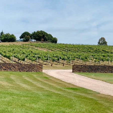 Meander Valley Vineyard-Red Hills必去景点