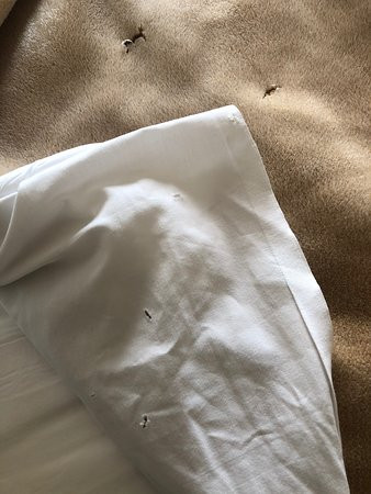 The Bethel Resort & Suites主图