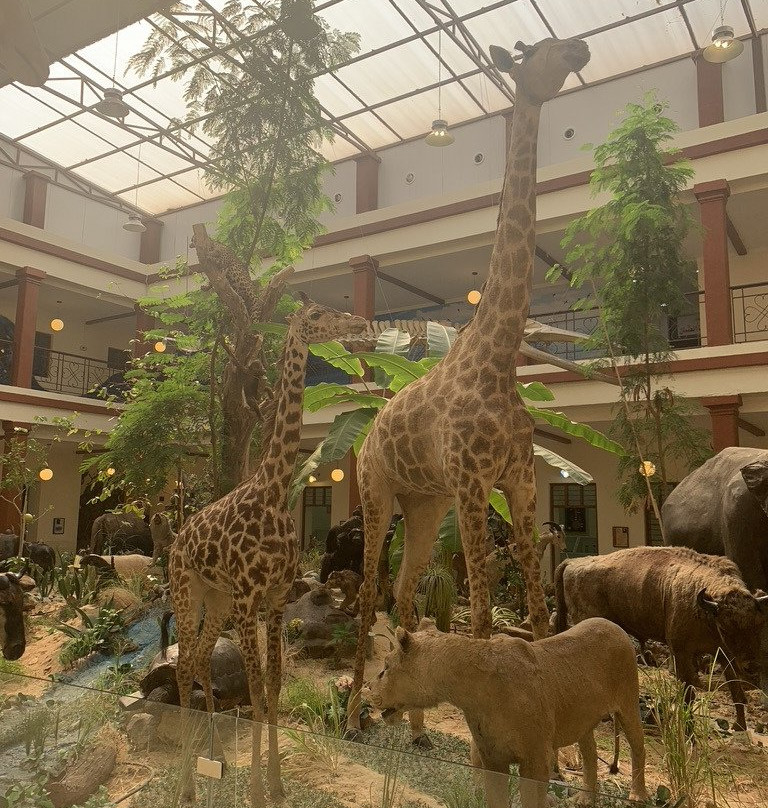 Bait Al Outhman Museum-Hawalli必去景点