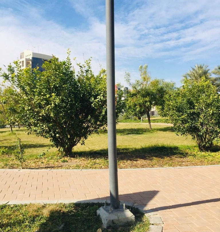 Boulevard Mall-萨尔米亚必去景点