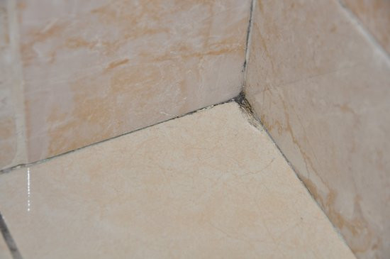 The Abbey Hotel主图