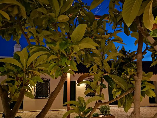 Heritage Hotel Maskovica Han主图