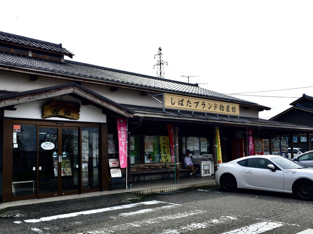 Kajikawa Fureai Center Michi-no-Eki景点图片