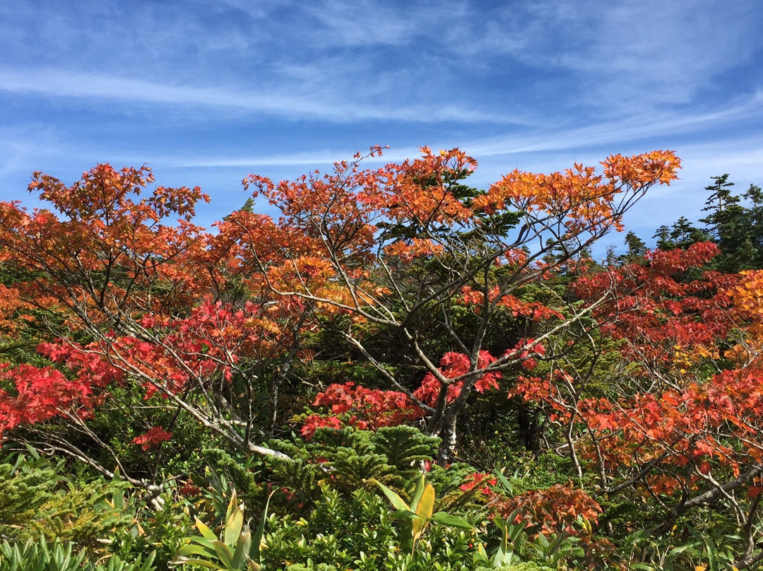 Tengendai Highland Ropeway景点图片