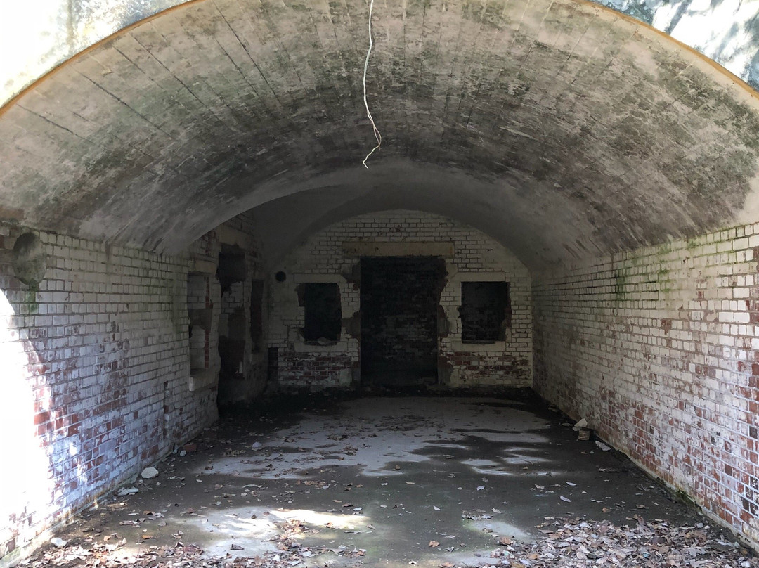 Ashiya Trunk of a Battery-舞鹤市必去景点