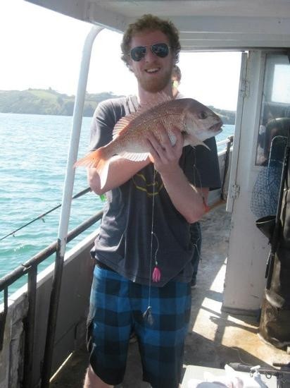 Fishing Waiheke - Day Tours-怀系奇岛必去景点