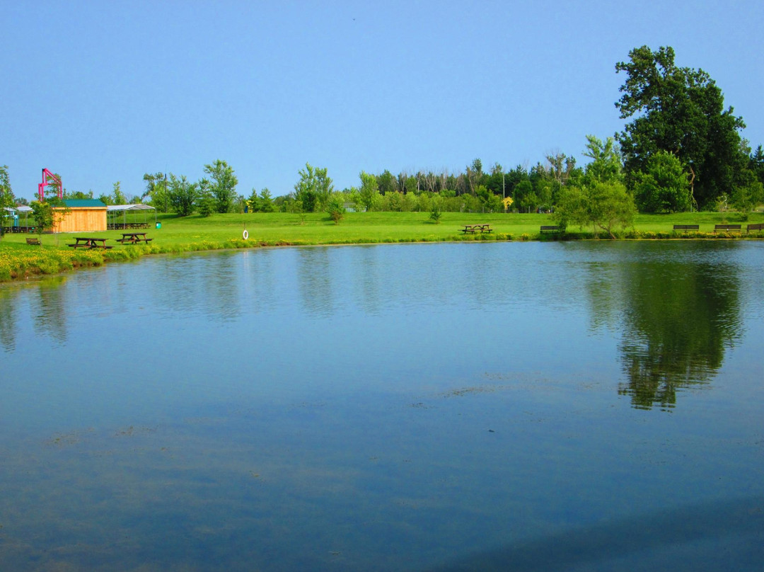 Stevensville旅游攻略图片