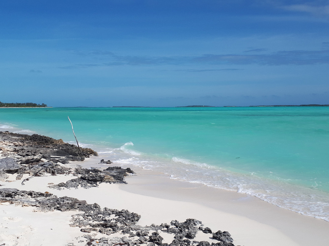 Coco Plum Beach景点图片