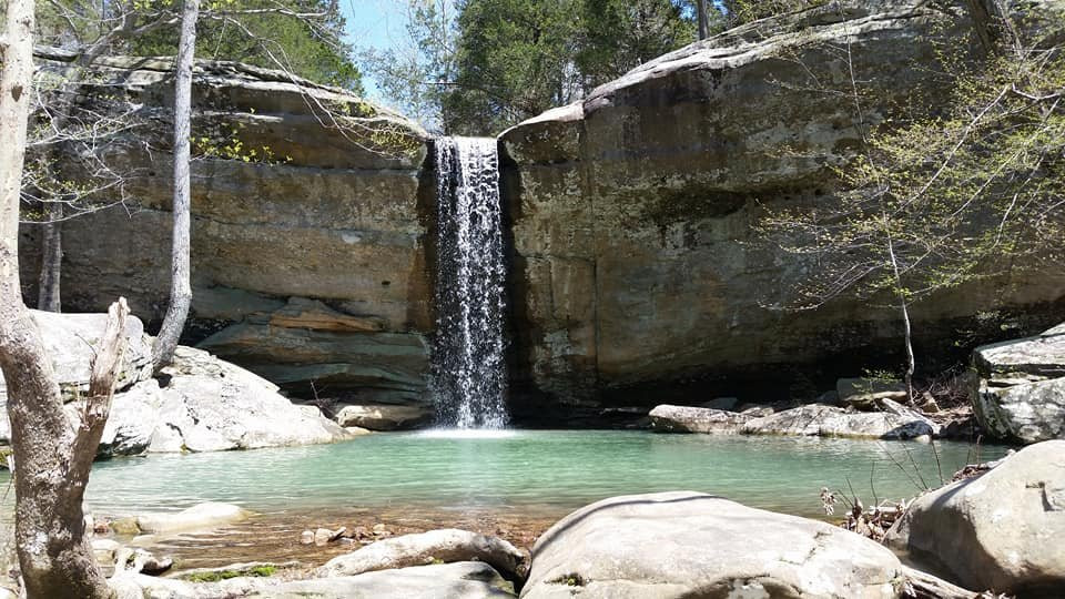Jackson Falls Trail景点图片