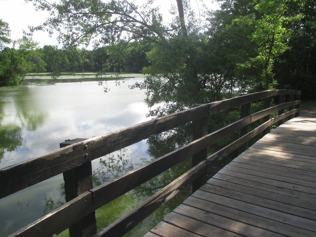 Kordiak County Park景点图片