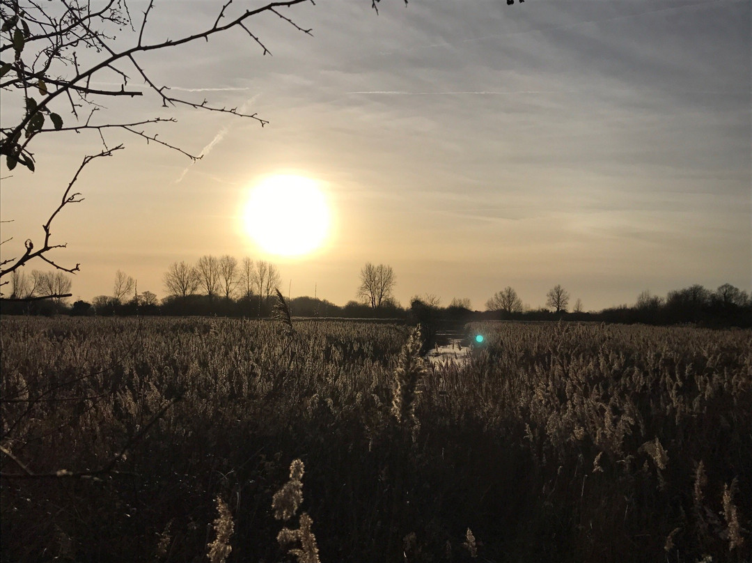 RSPB Fowlmere Nature Reserve景点图片